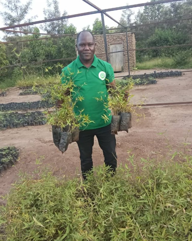 Tree sales and donation