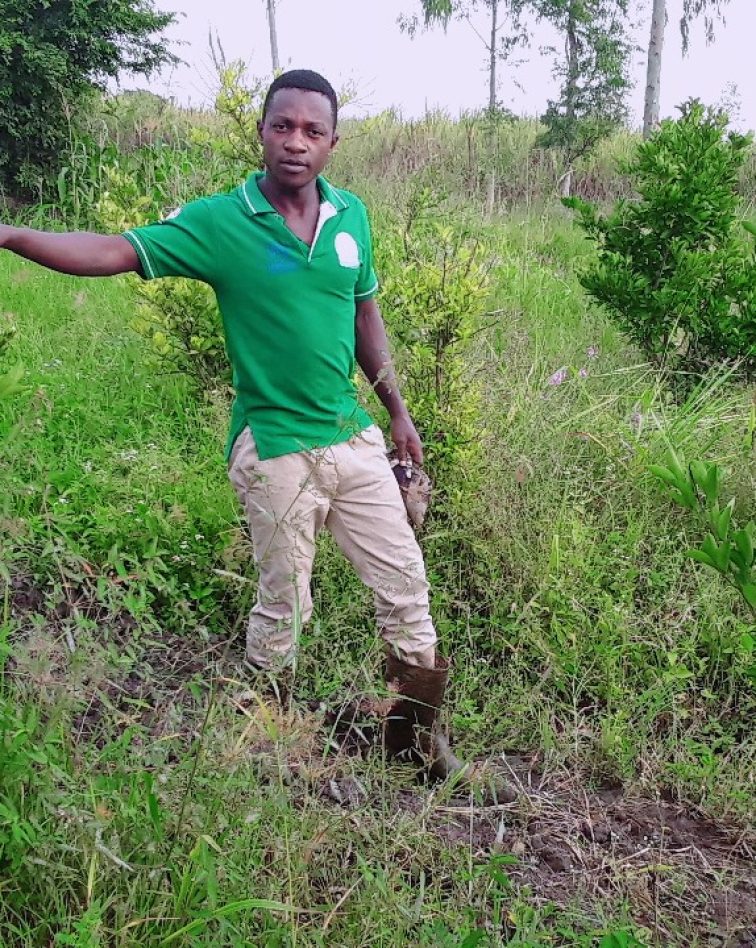LIVE IN GREEN Orange Plantation Mgt.