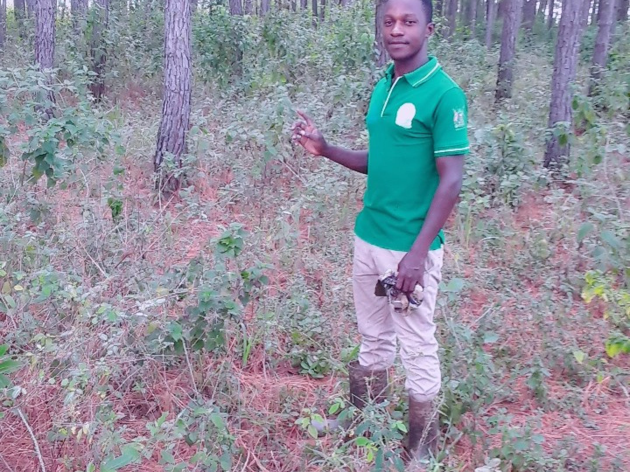 LIVE IN GREEN Tree Plantation Mgt.